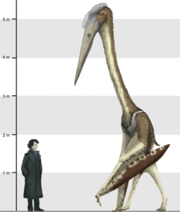 Biggest-Pterodactyl-255x300 Pterodactyls: The rulers that Rule the Sky